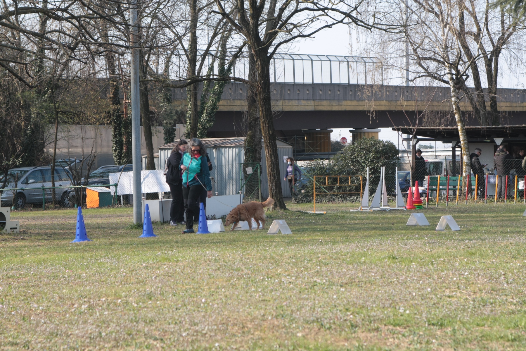GARA RALLY-O (20/03/2022)